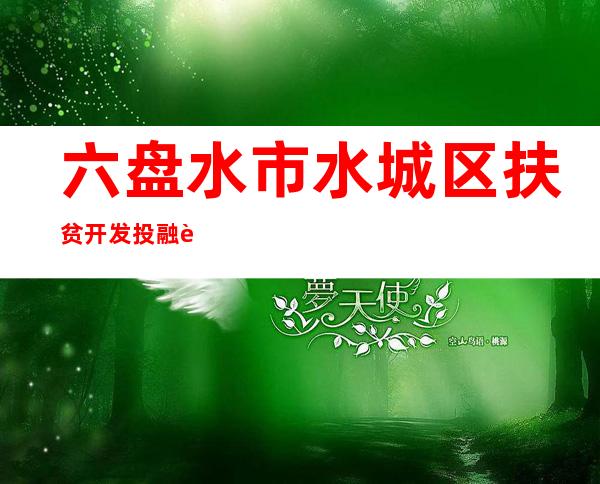 六盘水市水城区扶贫开发投融资有限责任公司